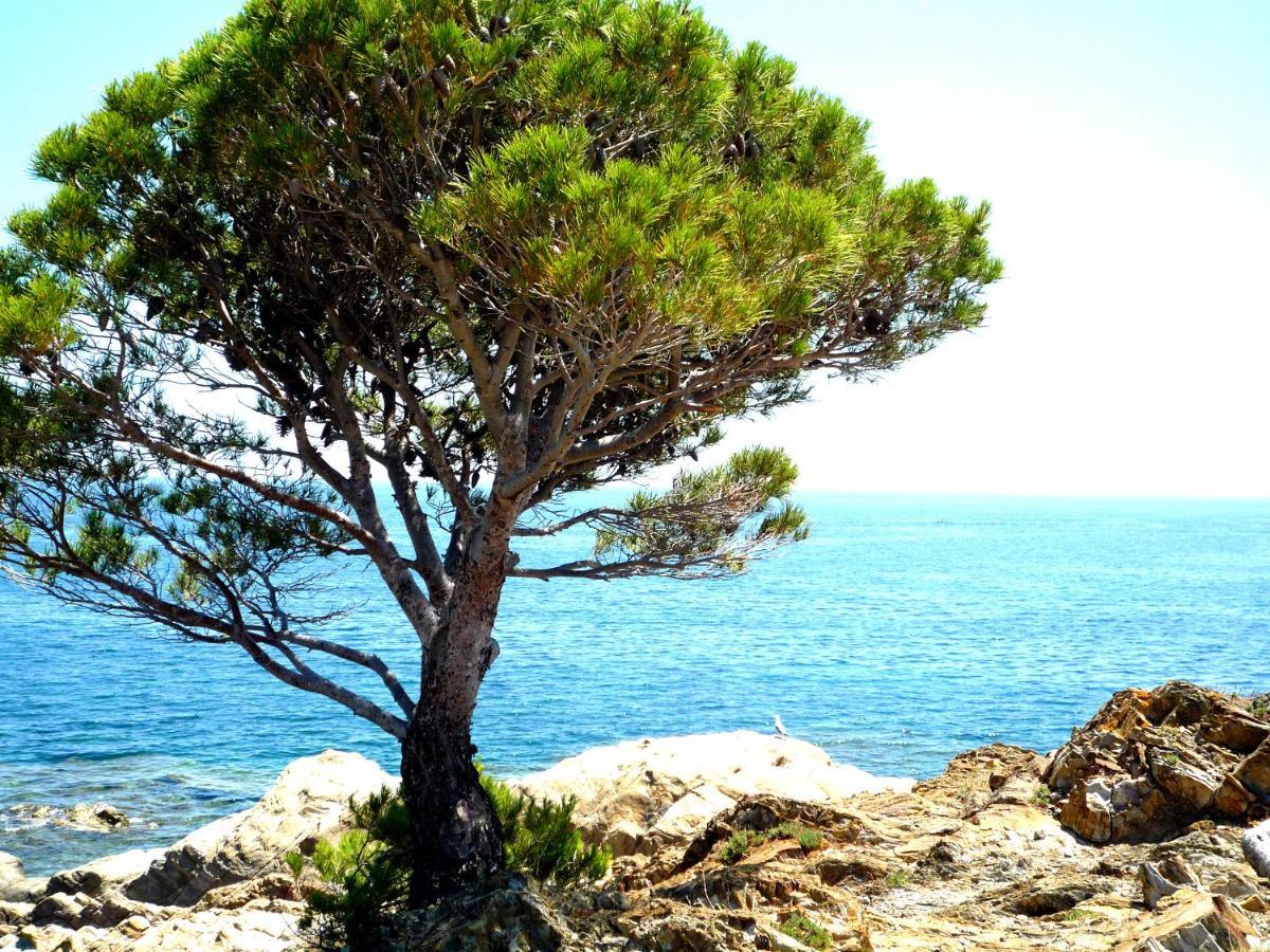Caseta De Pescadors A Les Cales De Colera, 2ª Linea De Mar Exteriör bild